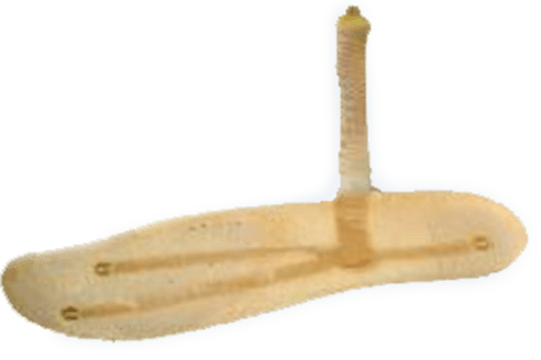 foot-sole-pressure-image
